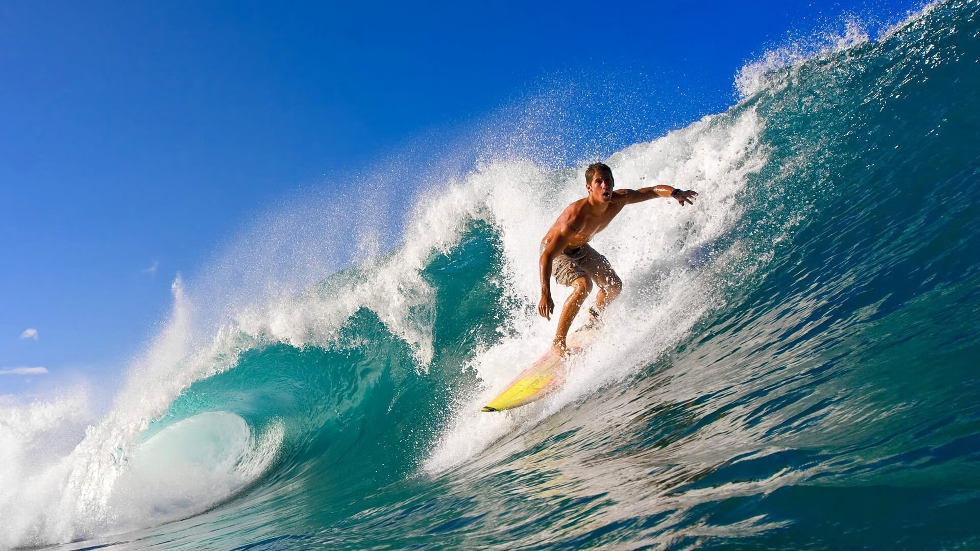 “荒野追击:沙漠与山地的热血追逐”,荒漠追杀中的罪名是